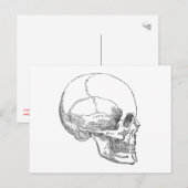 Poor Yorick Skull Postkarte (Vorne/Hinten)