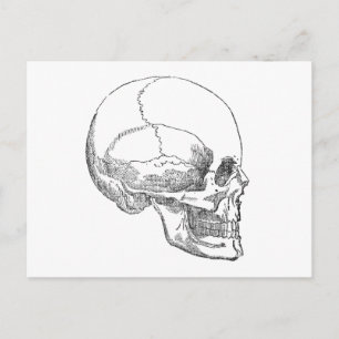 Poor Yorick Skull Postkarte