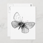 Pop Art Butterfly Postkarte (Vorne/Hinten)
