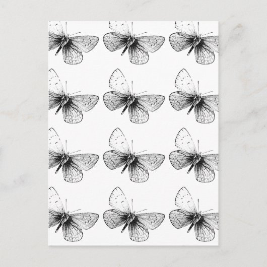 Pop Art Butterfly Postkarte (Vorderseite)