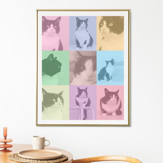 Pop Art Cat 9 Foto Moderner Retro-Farbblock Poster