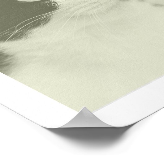 Pop Art Cat 9 Foto Moderner Retro-Farbblock Poster (Ecke)