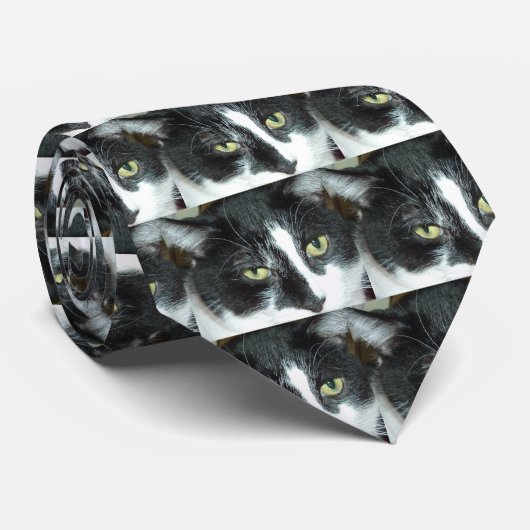 Pop Art Cat Krawatte (Gerollt)