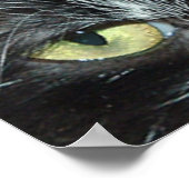 Pop Art Cat Poster (Ecke)