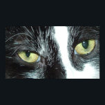 Pop Art Cat Poster<br><div class="desc">Schöne,  schwarz-weiße Tuxedo-Katze nah-up</div>