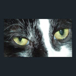 Pop Art Cat Poster<br><div class="desc">Schöne,  schwarz-weiße Tuxedo-Katze nah-up</div>