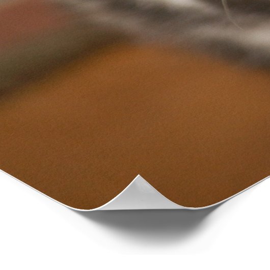 Pop Art Cat Poster (Ecke)