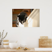 Pop Art Cat Poster (Küche)