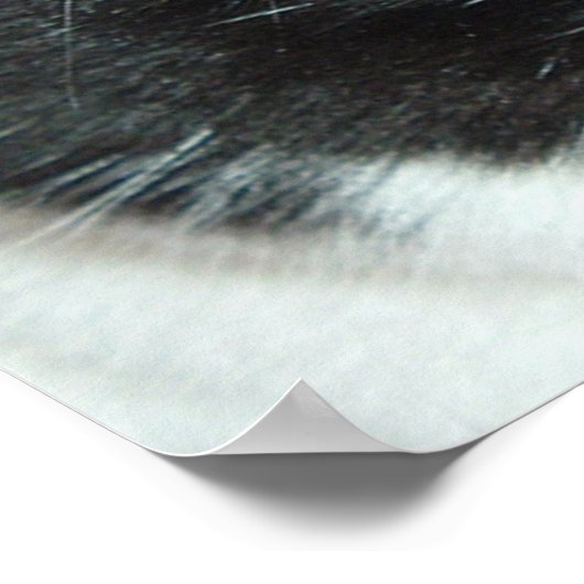 Pop Art Cat Poster (Ecke)