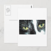 Pop Art Cat Postkarte (Vorne/Hinten)