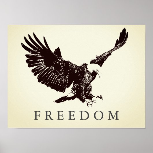 Pop Art Freedom Eagle Landung Vintag Poster (Vorne)