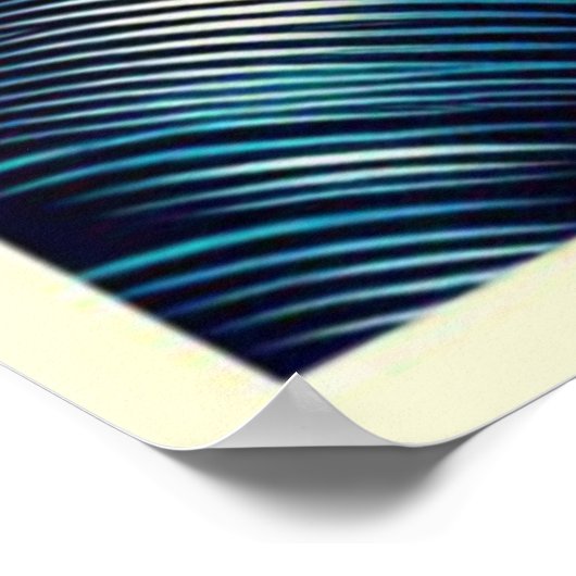 POP ART IGUANA 4 POSTER (Ecke)