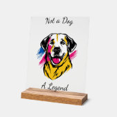 Pop Art Kangal Design Acrylschild (Winkel)