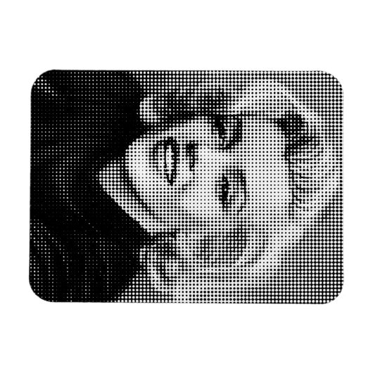 Pop Art Marilyn Magnet (Horizontal)