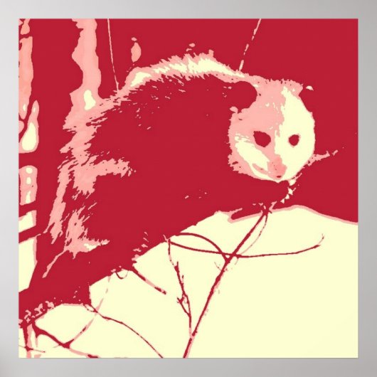 Pop Art Opossum Poster (Vorne)