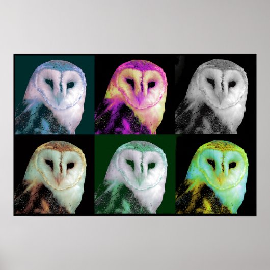 Pop Art Owl Poster (Vorne)
