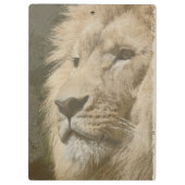 Pop Art Picture Lion Kopf King Template Klemmbrett (Rückseite)