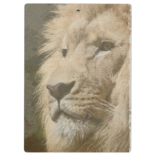 Pop Art Picture Lion Kopf King Template Klemmbrett (Rückseite)