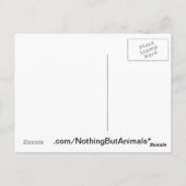 Pop Art Running Dackel Ohren flattern Postkarte (Rückseite)