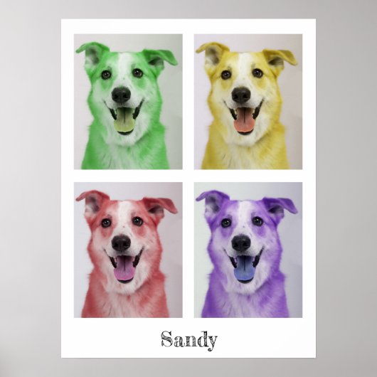 Pop Art Sandy Poster (Vorne)