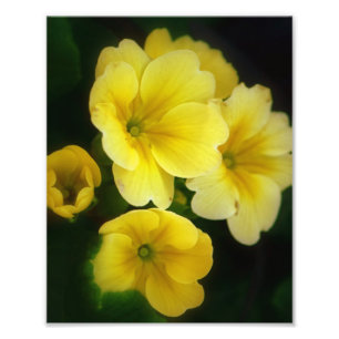 Pop aus gelbem 8x10-Foto Fotodruck