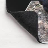 Pop aus schwarzem Hühnchen,_ Mousepad (Ecke)