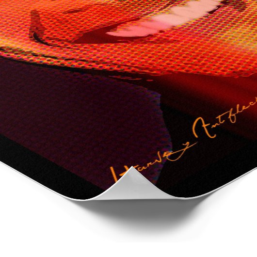 Pop_Barack_Obama Poster (Ecke)