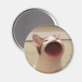 Pop Cat Magnet (Vorderseite/Rückseite)