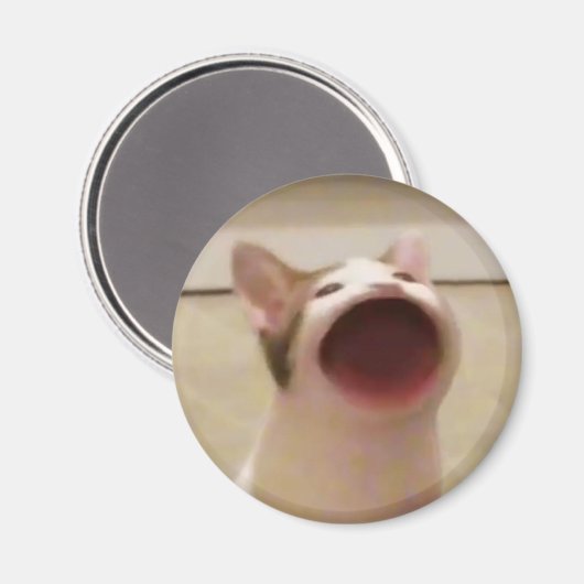 Pop Cat Magnet (Vorderseite/Rückseite)