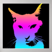 Pop Cat Poster (Vorne)