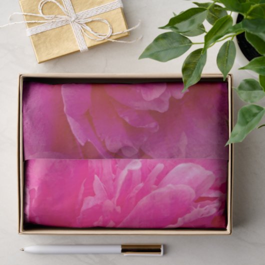 Pop des Pink Peony-TISSUE-PAPIERS Seidenpapier (Geschenk)