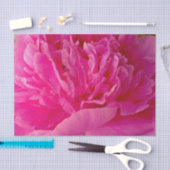 Pop des Pink Peony-TISSUE-PAPIERS Seidenpapier (Handwerk)