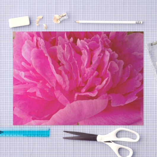 Pop des Pink Peony-TISSUE-PAPIERS Seidenpapier (Handwerk)