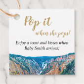 Pop es, wenn sie Pop! Rustikaler Wasserfall Geschenkanhänger (Vorderseite)