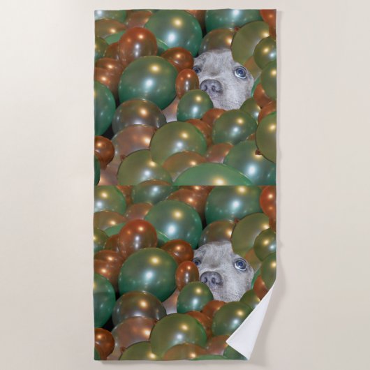 Pop Fest: ein lustiger, freudvoller Welpe in den B Strandtuch (Vorderseite)