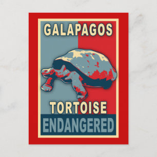 Pop Galapagos Tortoise Postkarte