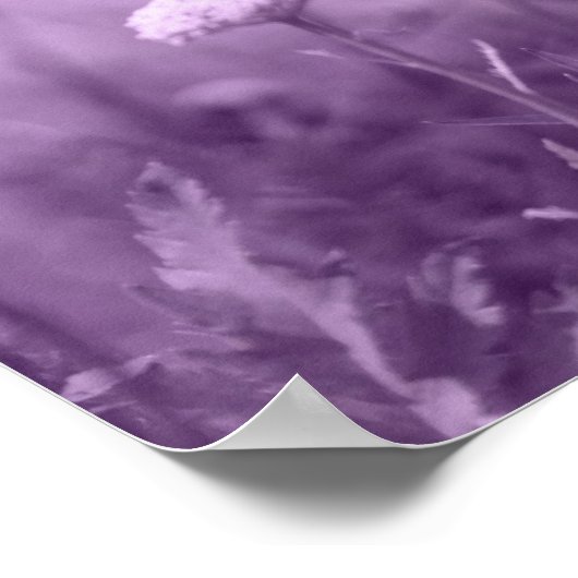 pop-i purple print poster (Ecke)