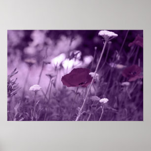 pop-i purple  print poster