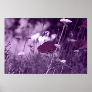 pop-i purple print poster