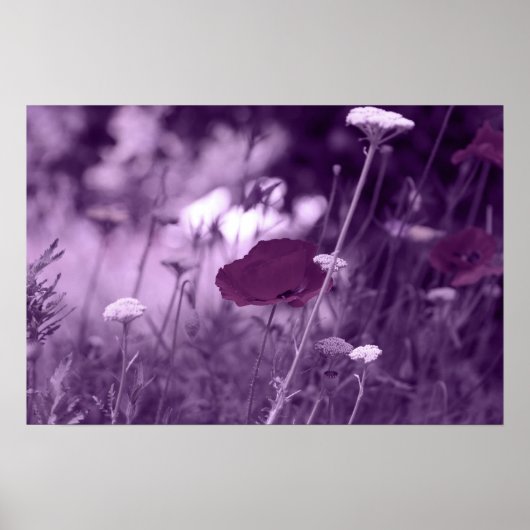 pop-i purple print poster (Vorne)