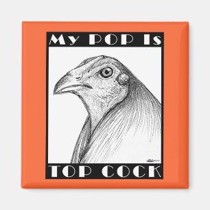 Pop ist der beste Cockvogel Magnet