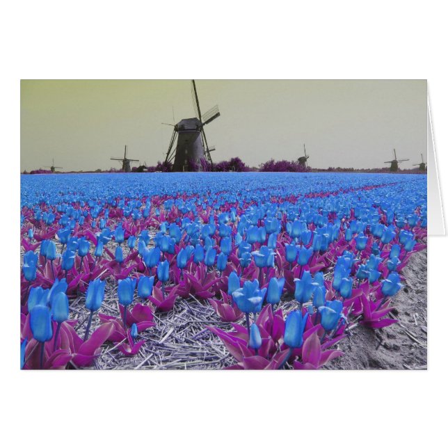 Pop-Kunst-blaue Tulpen (Vorderseite (Horizontal))