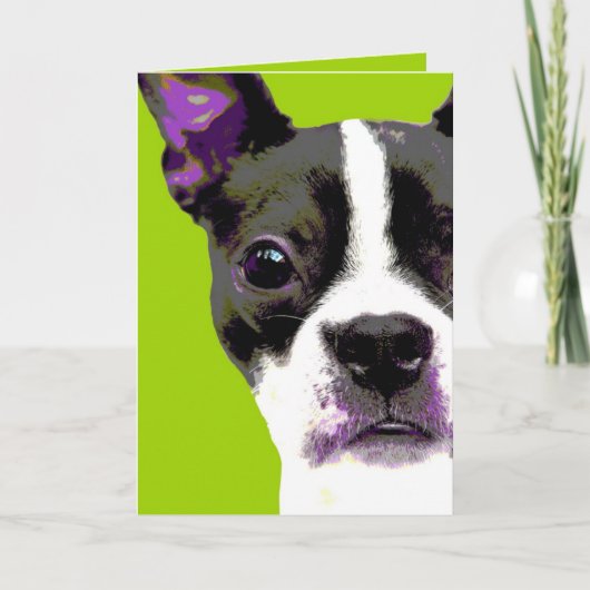 POP Kunst-Boston-Terrier Karte (Vorderseite)
