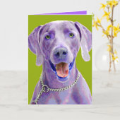 Pop-Kunst Weimaraner Karte (Gelbe Blume)