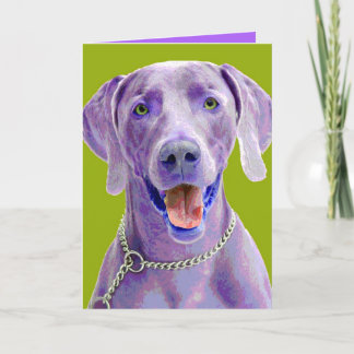 Pop-Kunst Weimaraner Karte