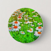 Pop Kunstlichter und farbenfrohe Art Daisies v1 z Button (Vorderseite)