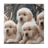 Pop oben! Welpen Fliese (Vorderseite)