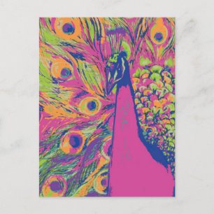 Pop Peacock Postkarte