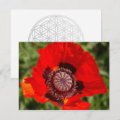 Pop Postkarte (Vorne/Hinten)