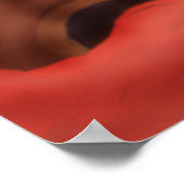 Pop Pre Columbinos Poster (Ecke)